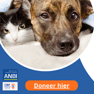stichting-bevordering-huisdierenwelzijn