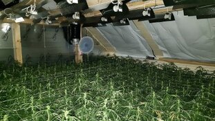 Brandgevaarlijke hennepkwekerijen aangetroffen in Tilburg en Goirle