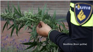 Tas met hennep aangetroffen in auto