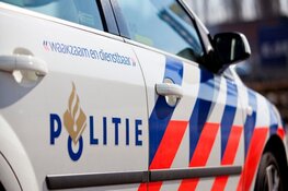 Automobilist onder invloed, omstander bemoeilijken aanhouding