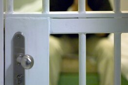 Inbreker door hulp alerte getuige snel gepakt