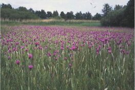 Brabant ontvangt € 80 miljoen voor extra impuls natuur