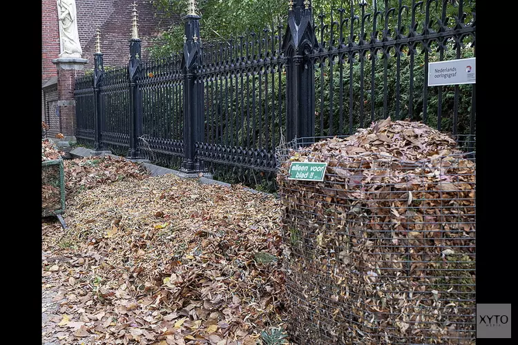Bladkorven in de straten van Tilburg