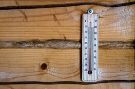 Zacht weer op komst. Jaarwisseling rond 10-12 graden
