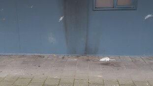 Drie jongens verdacht van brandstichting