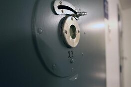 Celstraf voor man die 2-jarig dochtertje van vriendin zwaar mishandelde