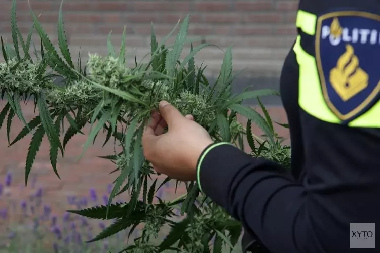 Hennepkwekerij in bedrijfspand, twee personen aangehouden