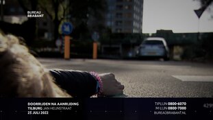 Gezocht: Doorrijden na aanrijding - Jan Heijnsstraat - Tilburg
