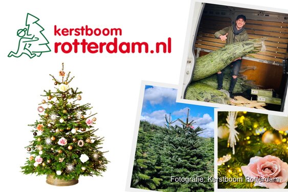 Een echte kerstboom kopen? Natuurlijk bij Kerstboom Rotterdam