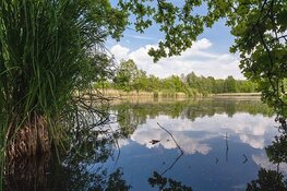Analyses bevestigen slechte staat natuur Brabant
