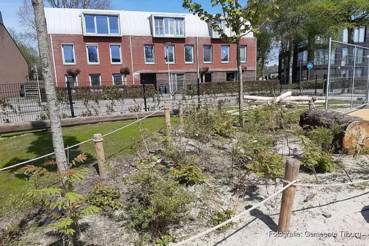 Steeds meer schoolpleinen kleuren groen