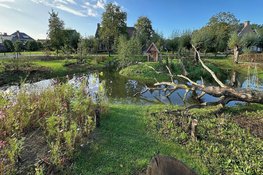Tweeënhalve ton voor kleinschalige natuur en waterprojecten in Noord Brabant