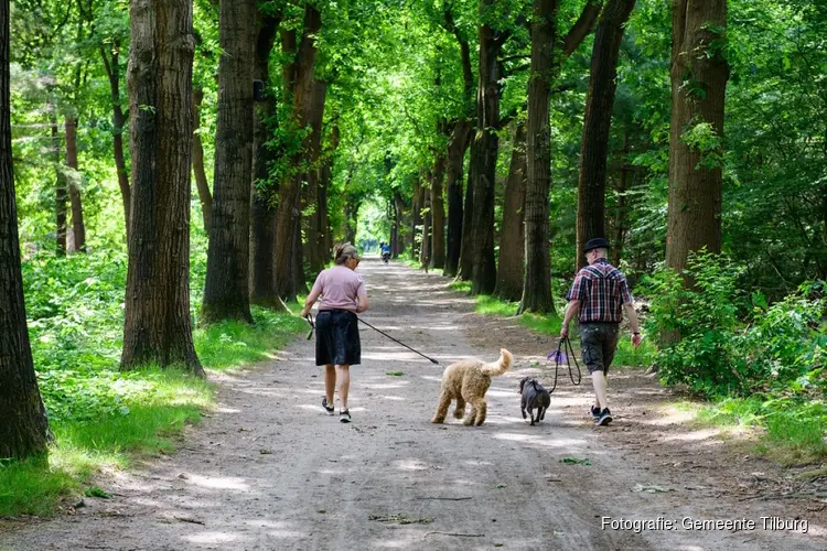 Hond aan de lijn in Stadsbos013