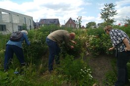 Smullen van Moedertje Natuur. Eetbare biotopen in de wijk