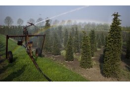 Verbreding grondwaterheffing: meer bedrijven gaan betalen voor grondwatergebruik