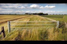 Reactie op uitspraak RvS over Rendac