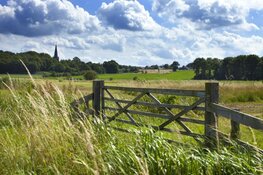 Brabant versnelt vijf natuurprojecten
