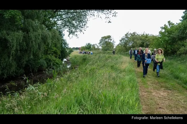 Samen voor natuurherstel: beekherstel Oude Leij in de Kaaistoep