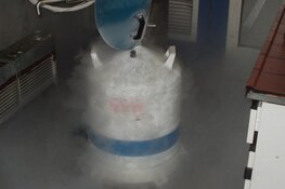 'Brabant openhouden' met nieuwe stikstofaanpak veehouderijen