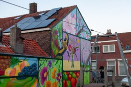 Nieuwe mural fleurt Houtstraat in Tilburg op