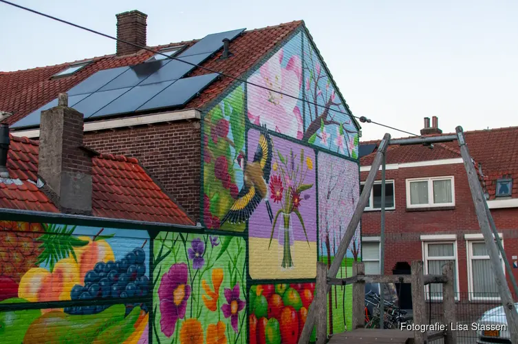Nieuwe mural fleurt Houtstraat in Tilburg op