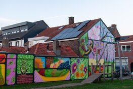 Nieuwe mural fleurt Houtstraat in Tilburg op