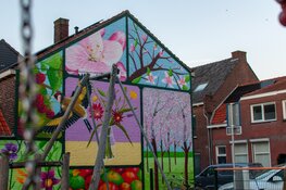 Nieuwe mural fleurt Houtstraat in Tilburg op