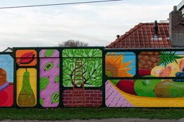 Nieuwe mural fleurt Houtstraat in Tilburg op