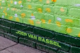 Nieuwe mural fleurt Houtstraat in Tilburg op