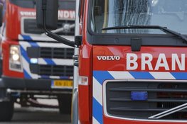 Koeien gered bij grote brand in stal in Moergestel