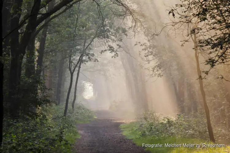 2,9 Miljoen euro voor herstel bossen Groote Slink-Bunthorst en Pannenhoef