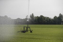 Provincie Noord-Brabant zet koers naar toekomstbestendig grondwatergebruik